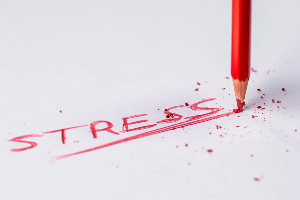 word stress written in red colored pencil