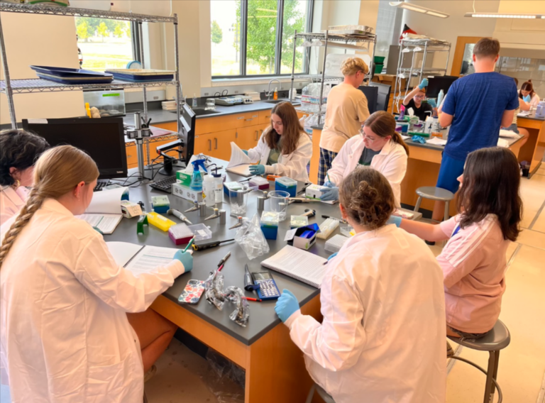 Students participate in science activities during Niagara University's 2025 Summer STEM Camp.
